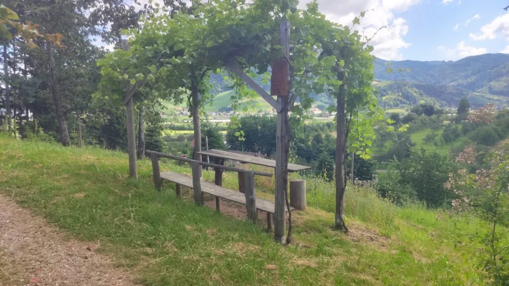Les sentiers très accueillants de la Forêt-noire