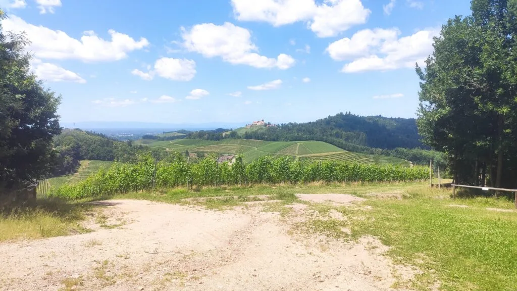 La plaine du Rhin et le château de Staufffenberg