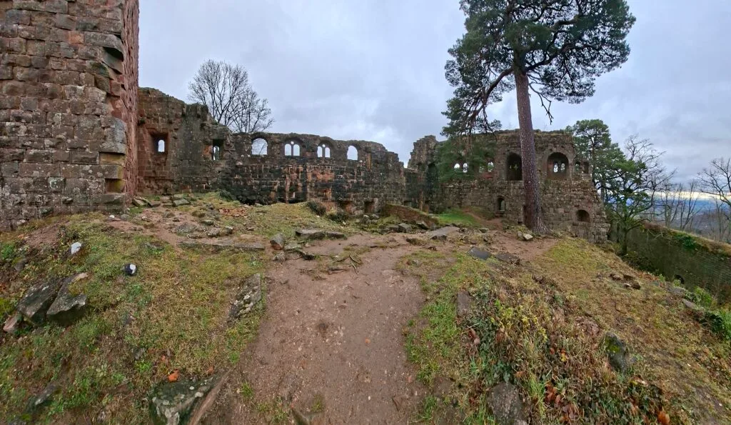 Le pin à l'intérieur du château du Landsberg